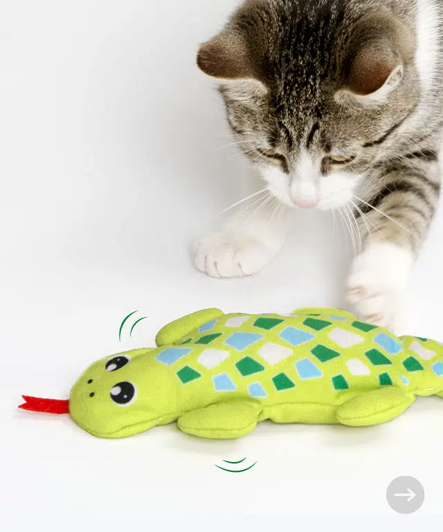 Lizard Toy