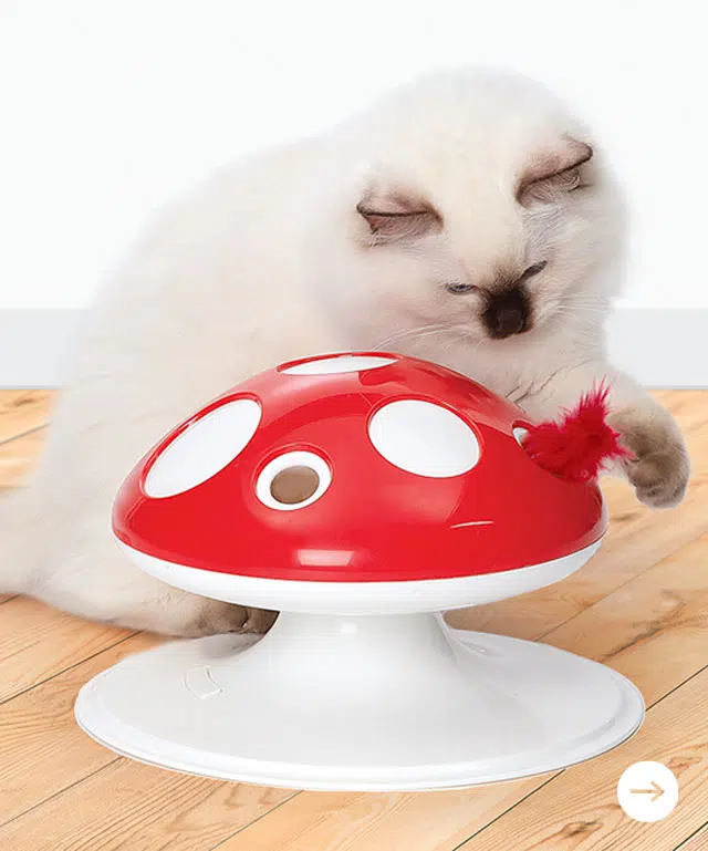 Mushroom Toy