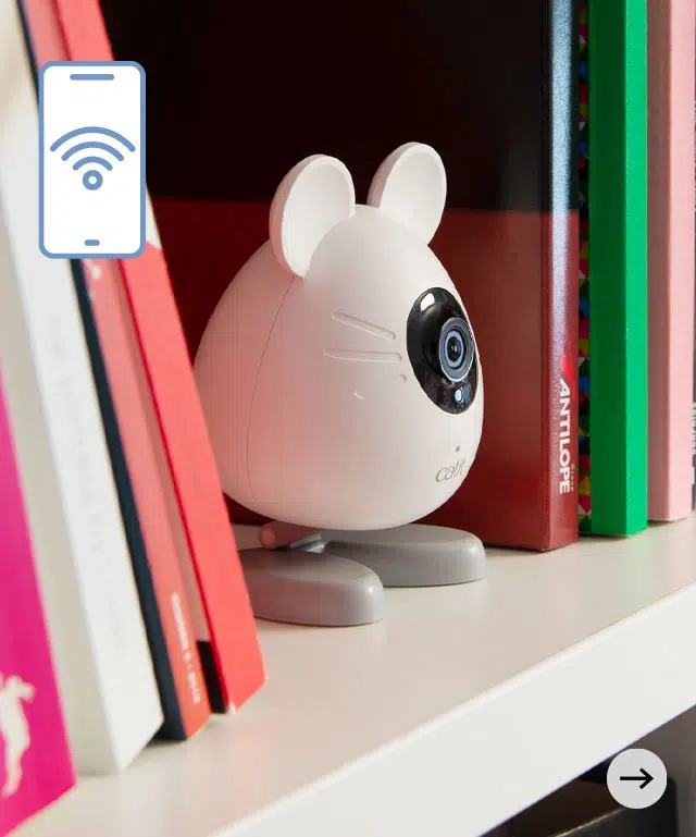 Smart Mouse Camera