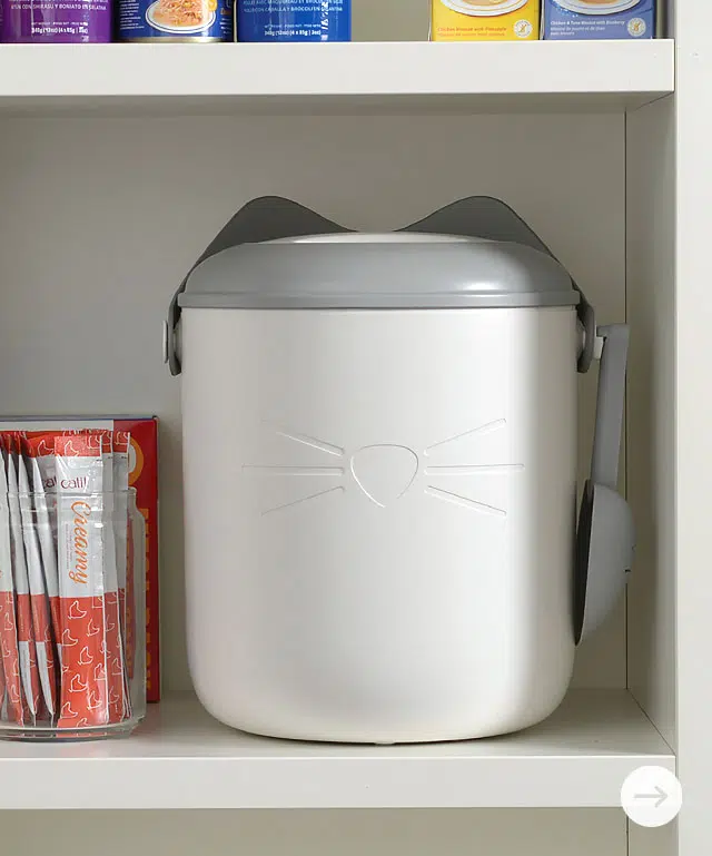 Food Container