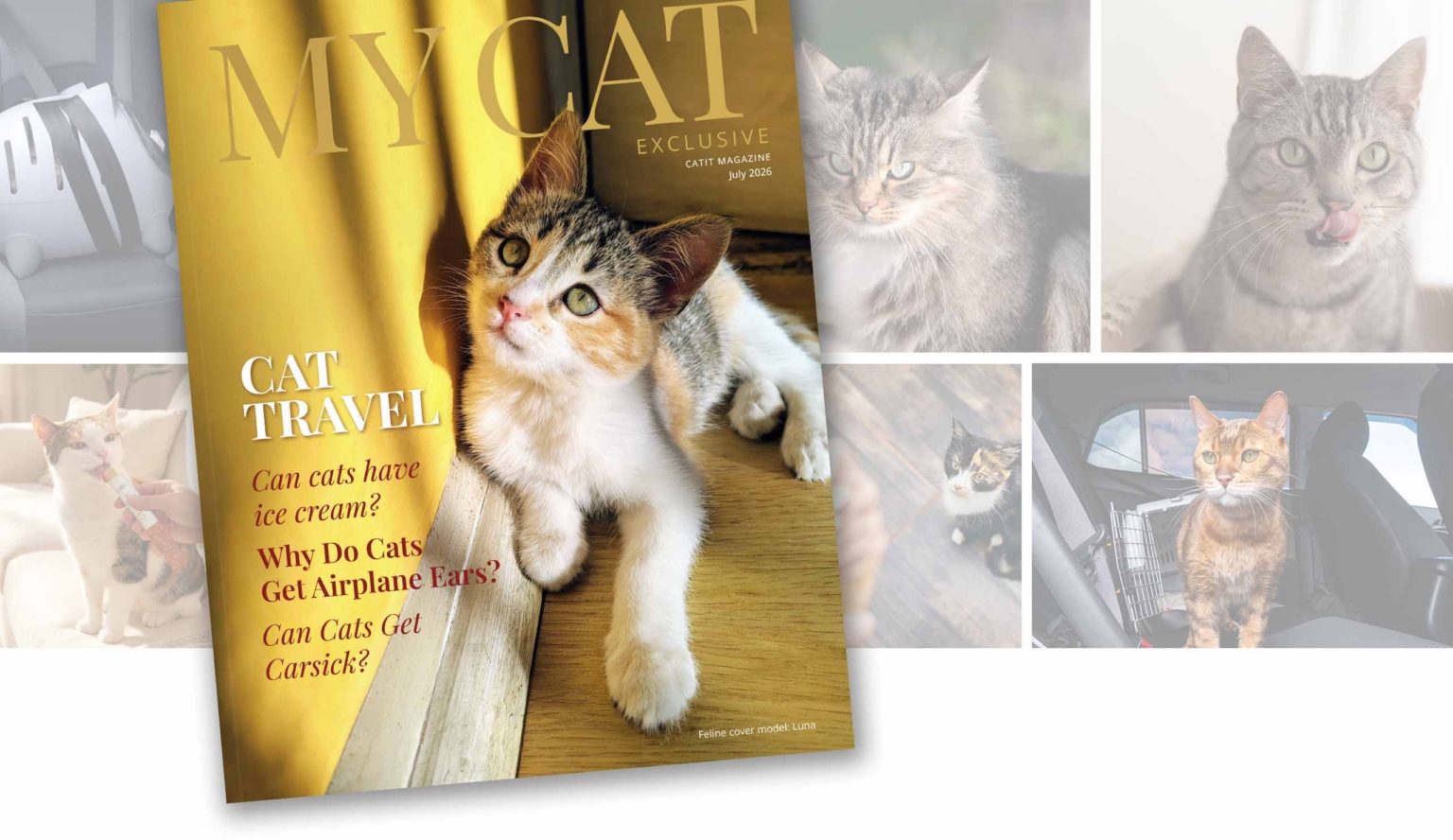 Catit Magazine
