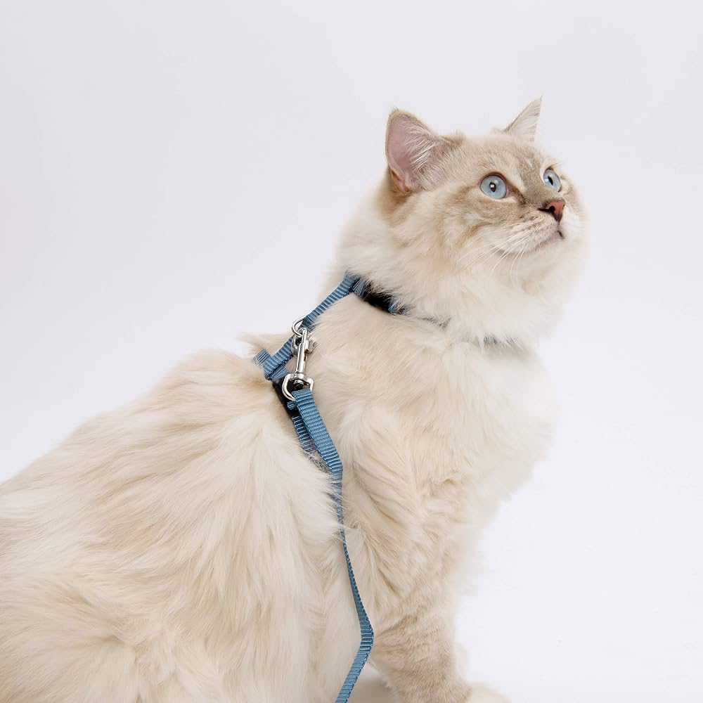Catit Collar