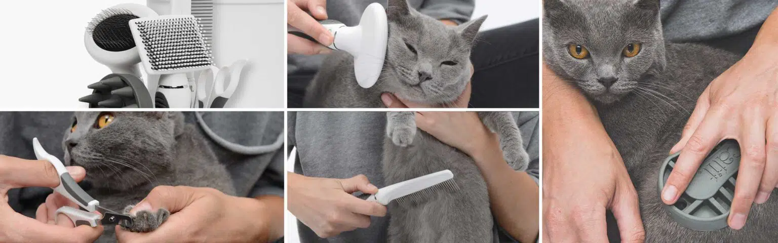 Catit Shorthair Grooming Kit