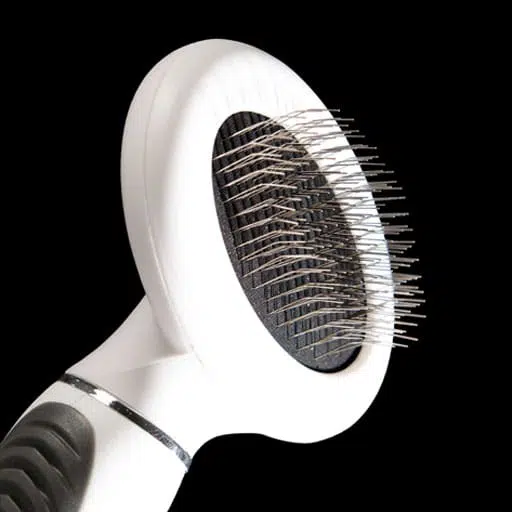 grooming supplies for shorthaired cats