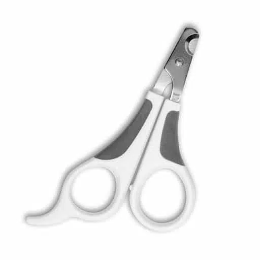 grooming supplies for shorthaired cats