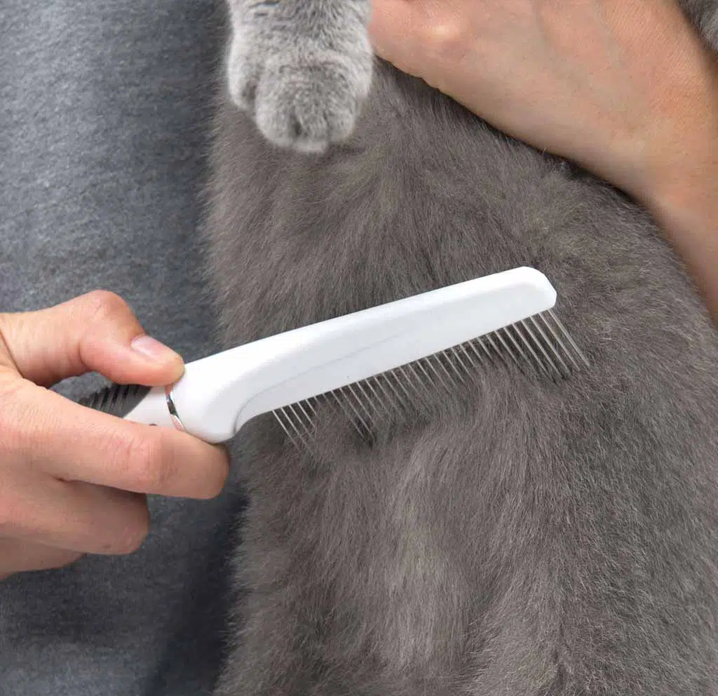 Fine Grooming Comb