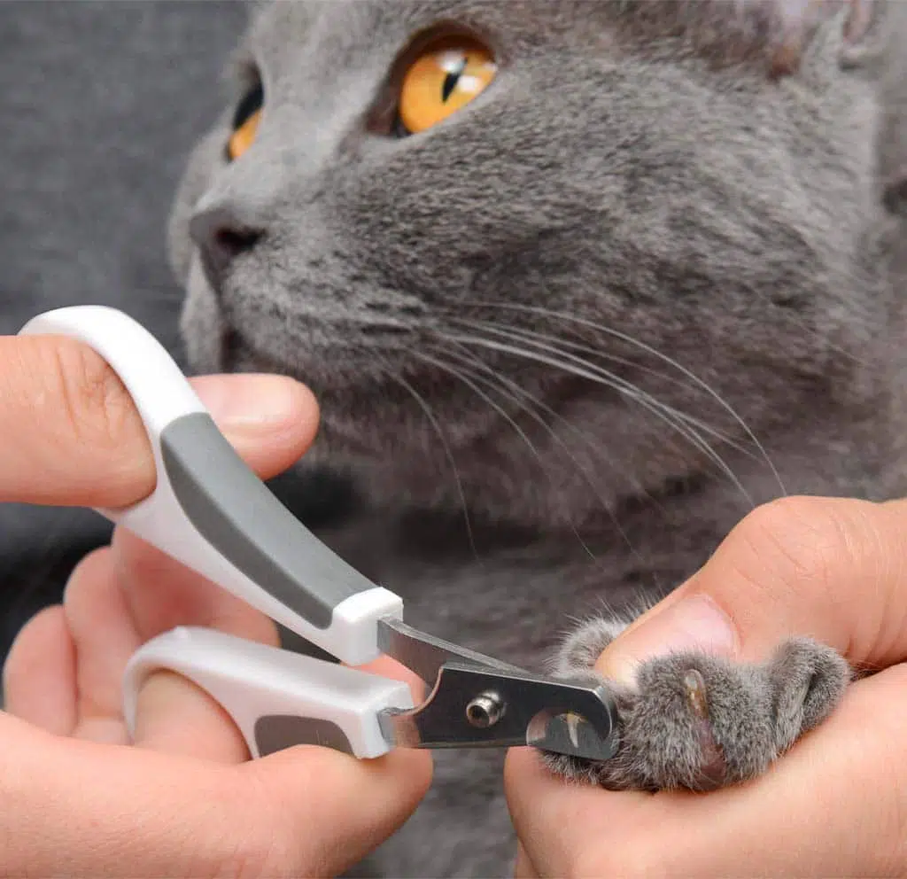 Curved Nail Clippers