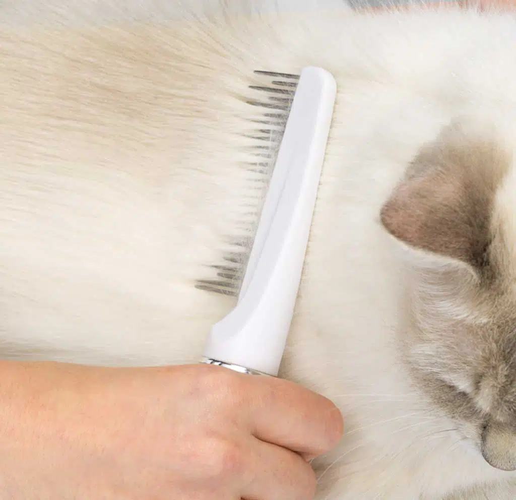 Grooming Comb with Rolling Pins