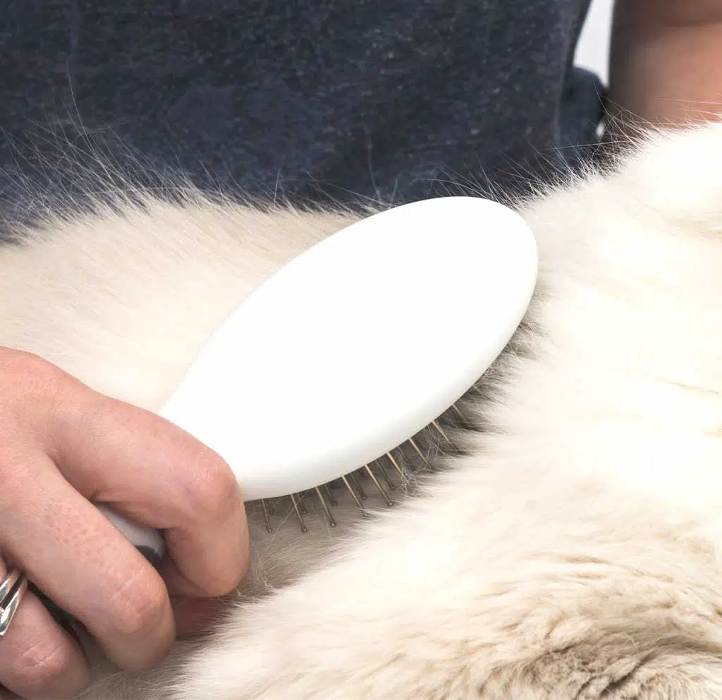 Pin Brush