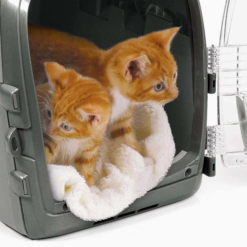Catit Cabrio Carrier