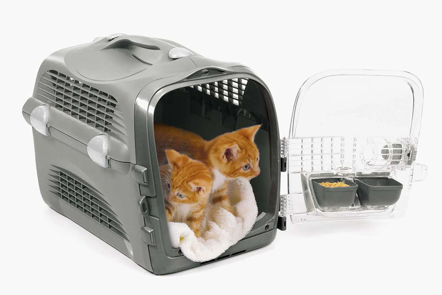 Cat cabrio