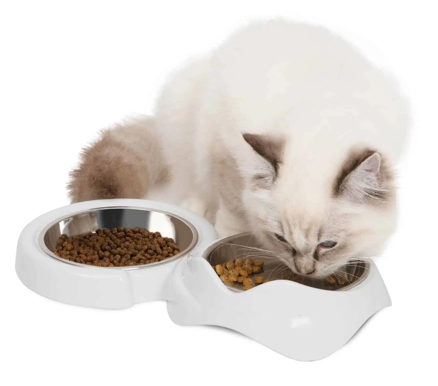 Feline design matching the Catit PIXI series