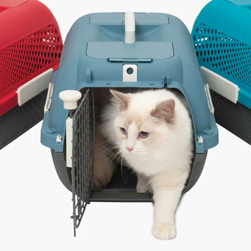 Catit Voyageur Blue