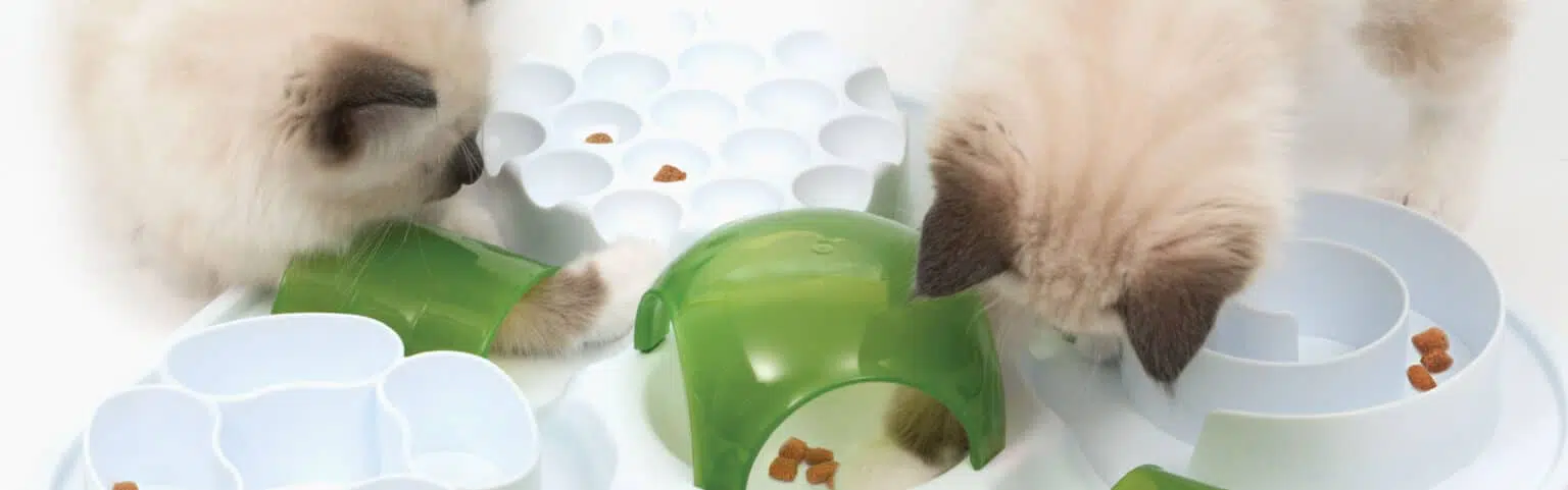 Catit Play Treat Puzzle