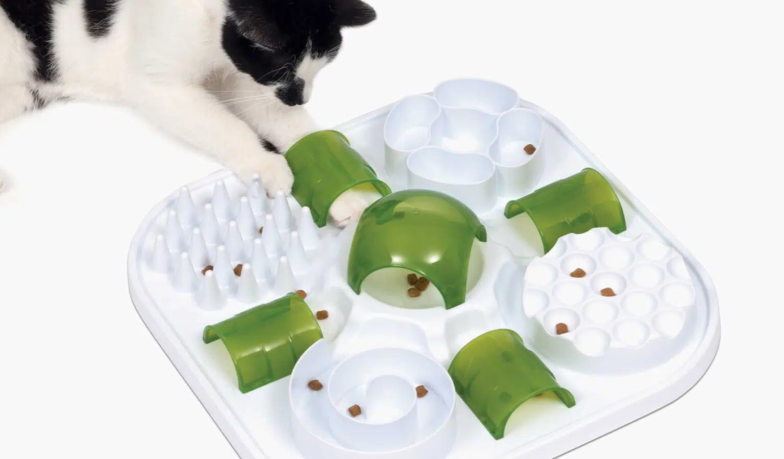 playful feeding
