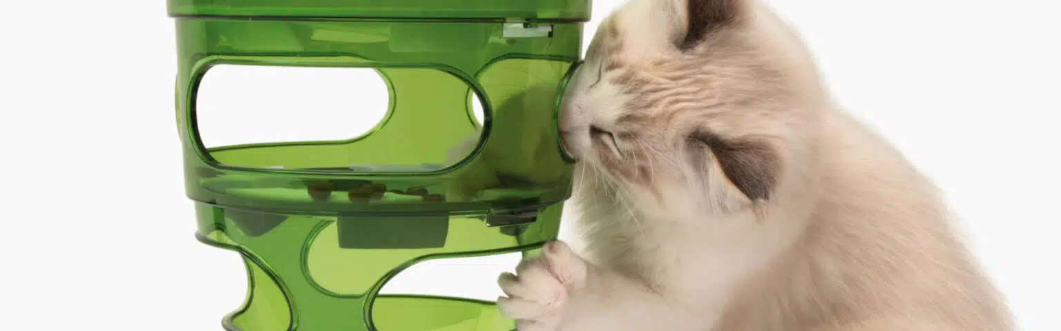 Catit Senses Food Tree