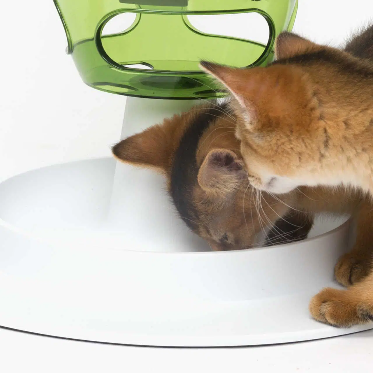 Catit Senses Food Tree