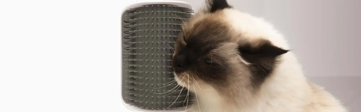 Catit Senses 2.0 Self Groomer