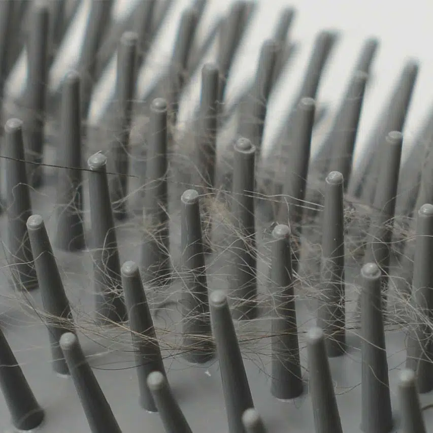 Catit Senses Self Groomer