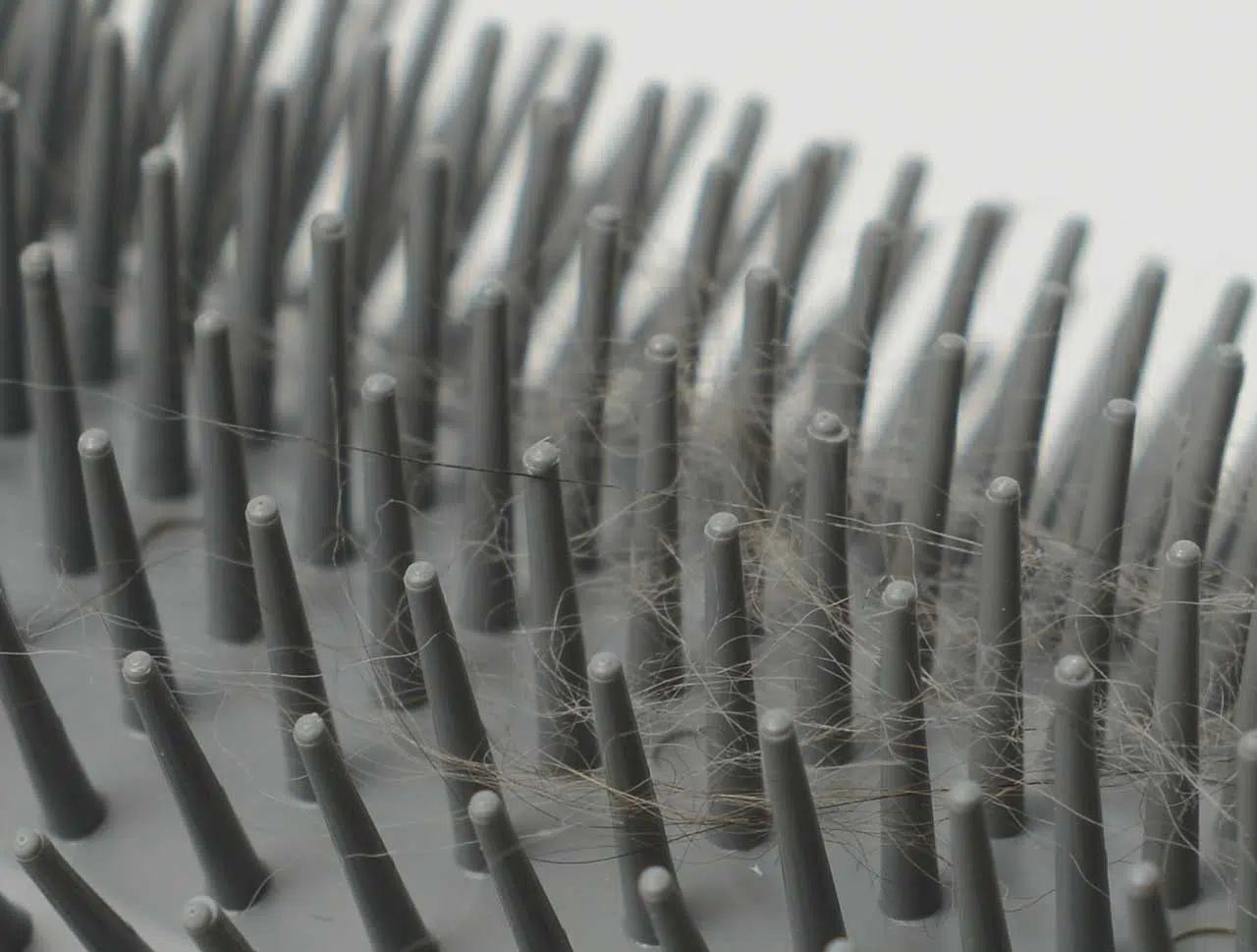 Catit Senses Self Groomer