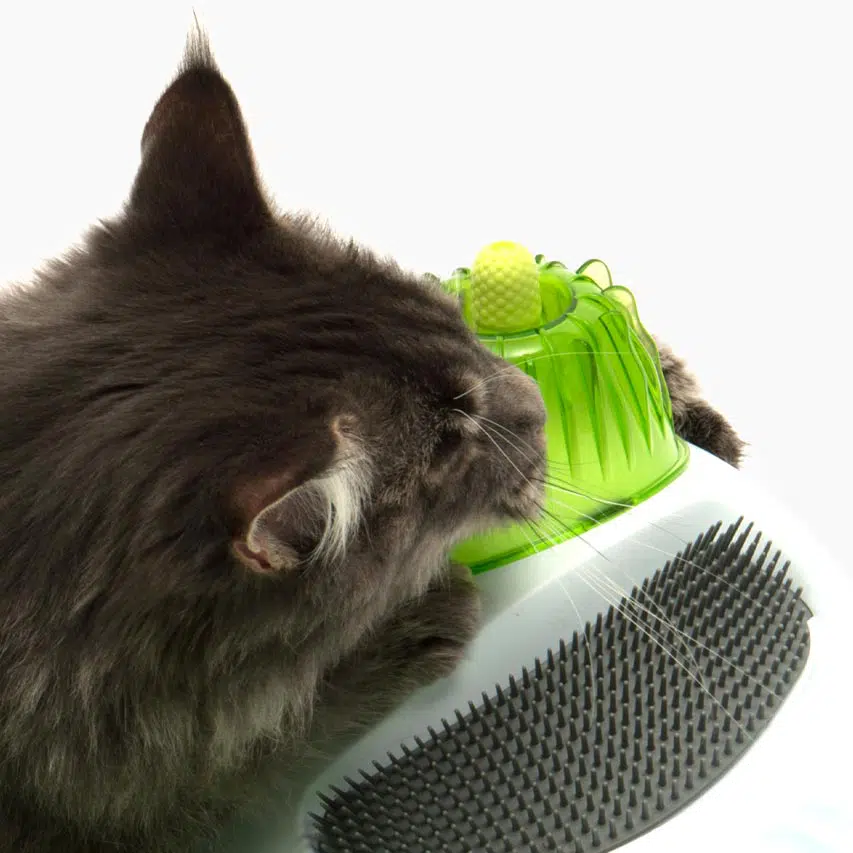 Catit Senses 2.0 Wellness Center