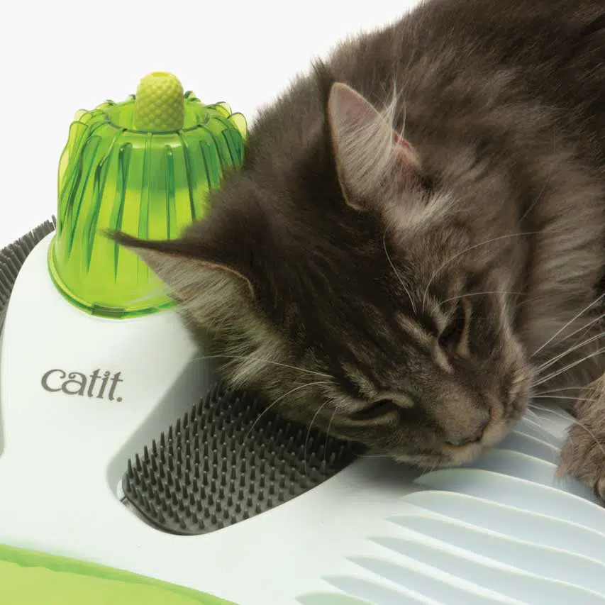 Flexible brushes for grooming