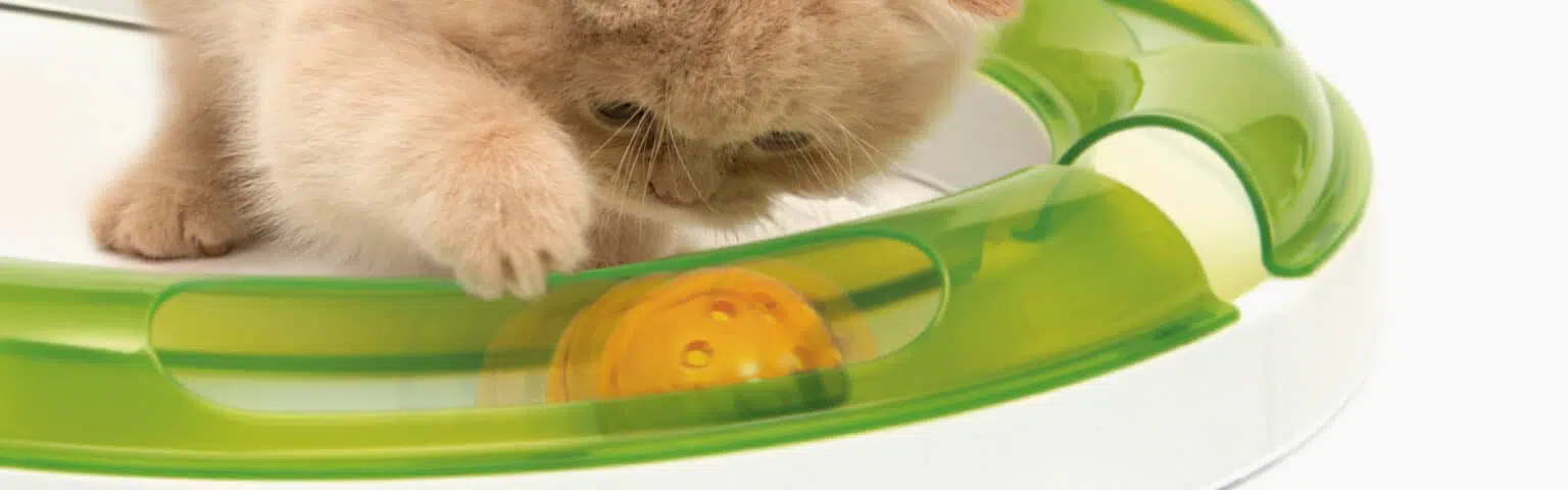 Catit Senses 2.0 Play Circuit