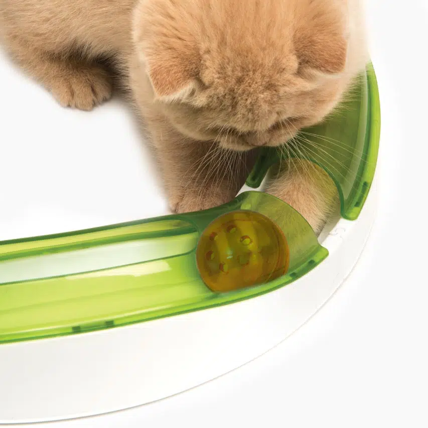 Catit Senses Playground