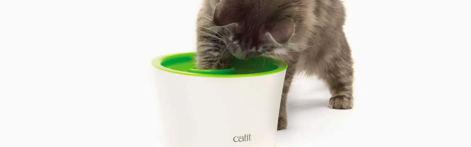 Catit Multi Feeder