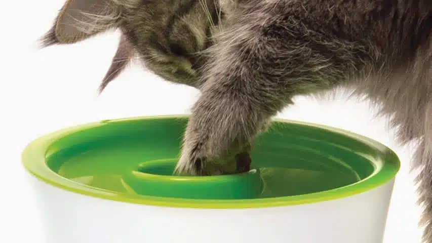 Catit Multi Feeder