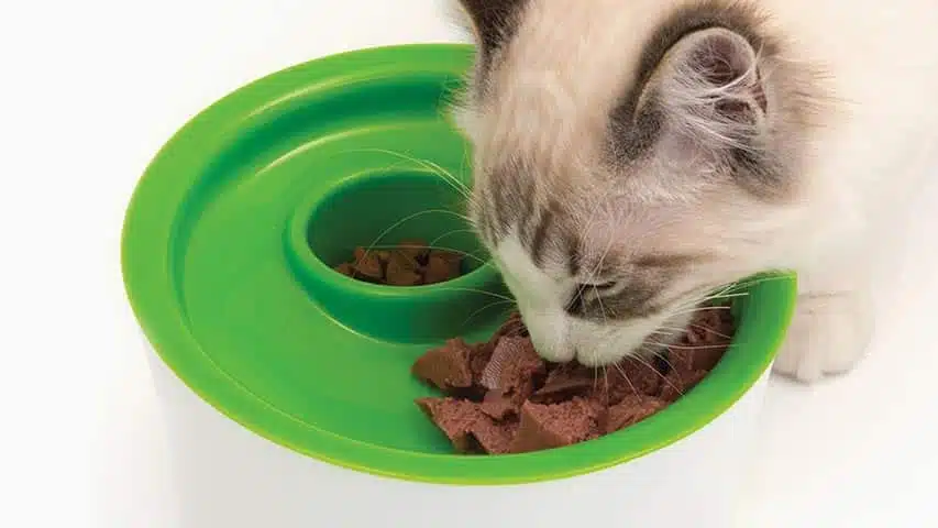 Catit Multi Feeder