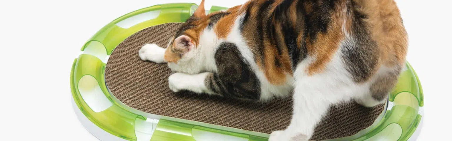 Catit 2.0 Oval Scratching Board