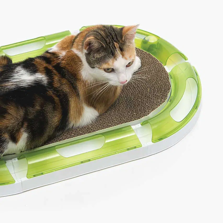 Catit Oval Scratching Board