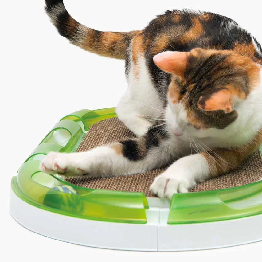 Catit Oval Scratching Board