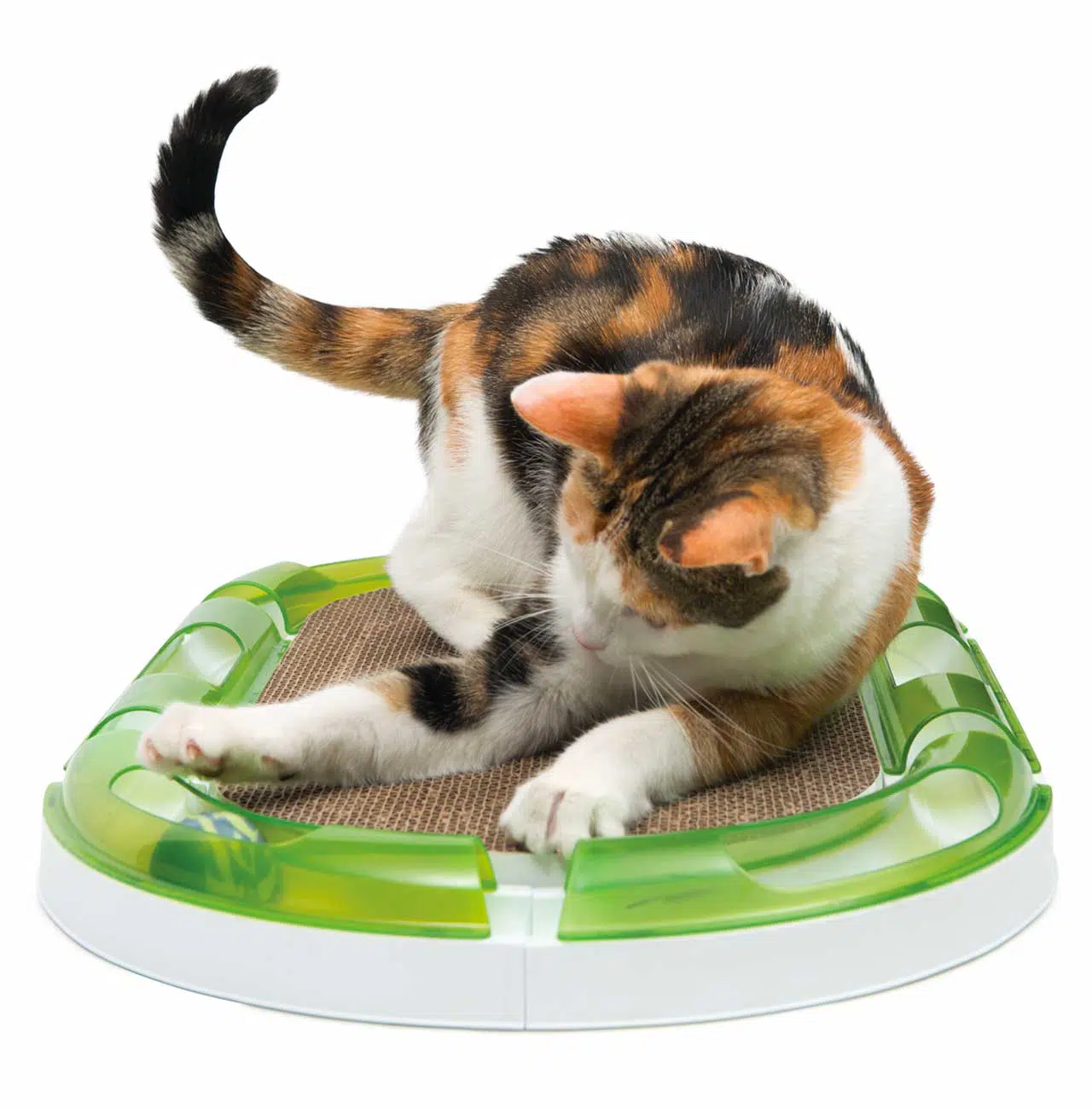 Catit Oval Scratching Board