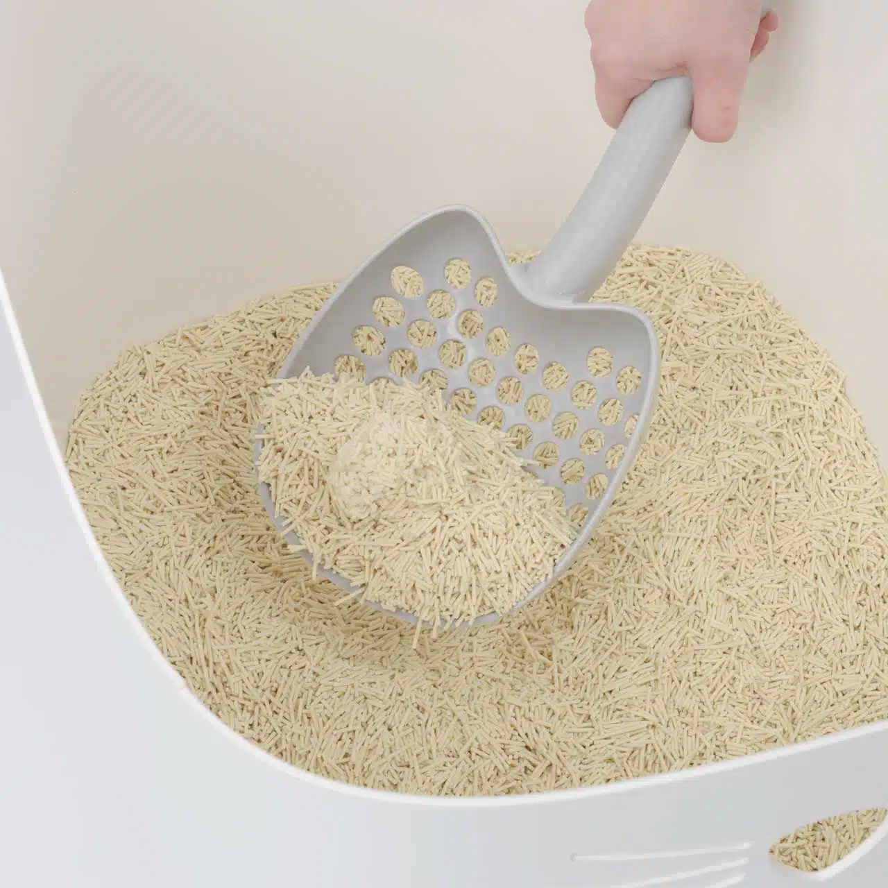 PIXI Litter Box