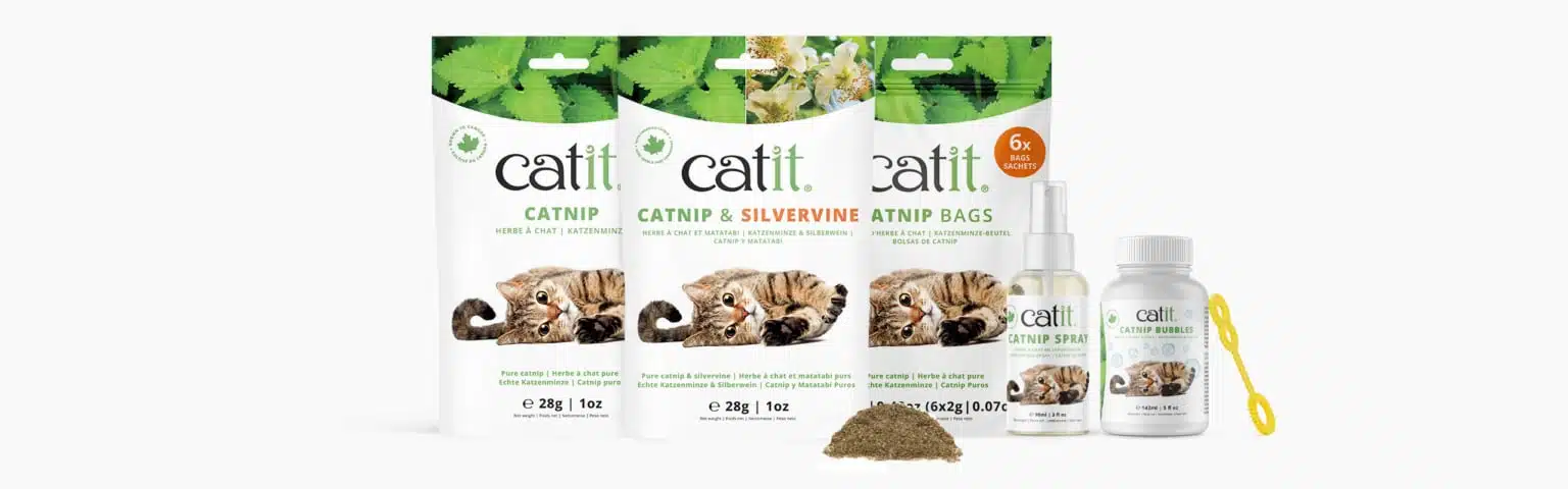 Catit Catnip Spray