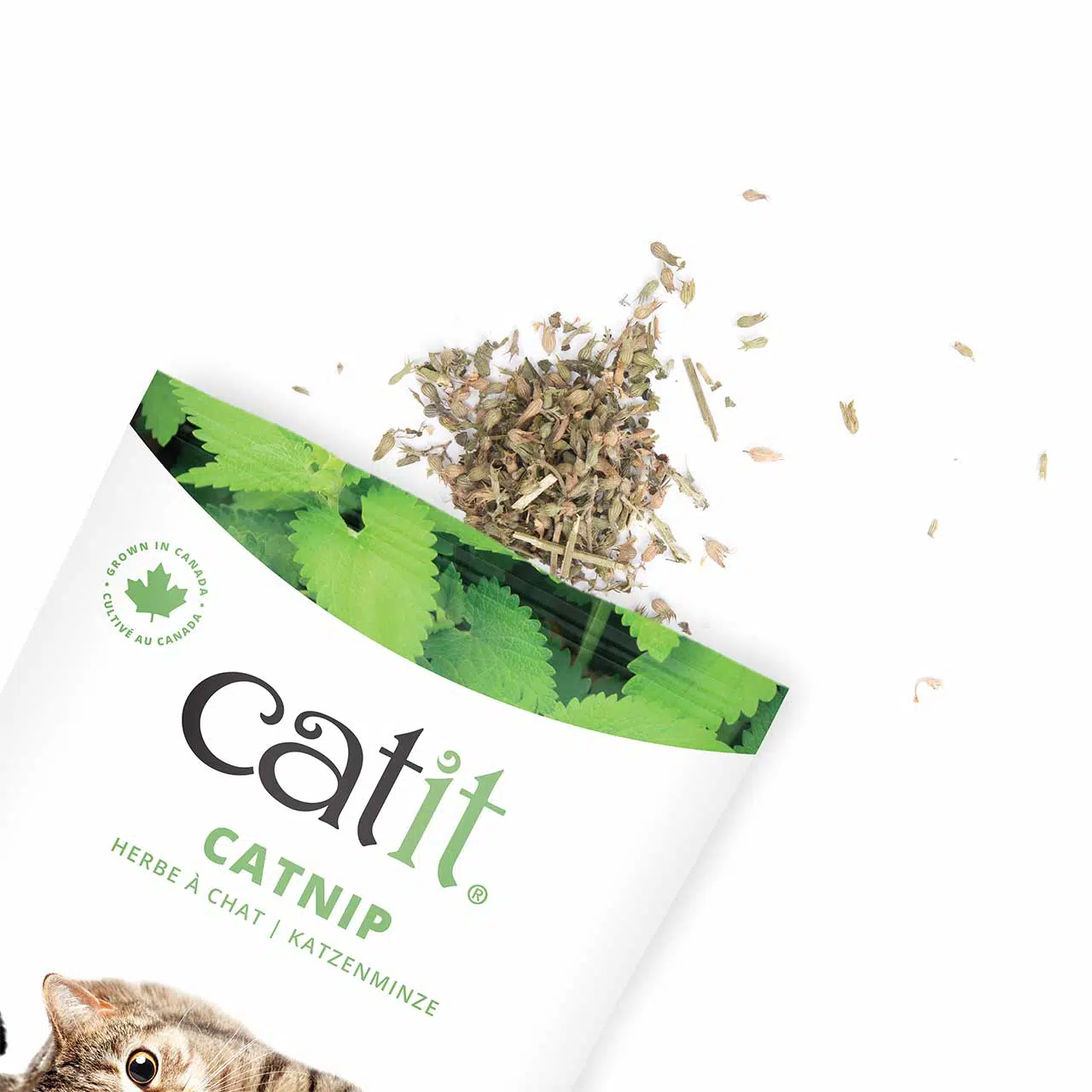 Catit Catnip Spray