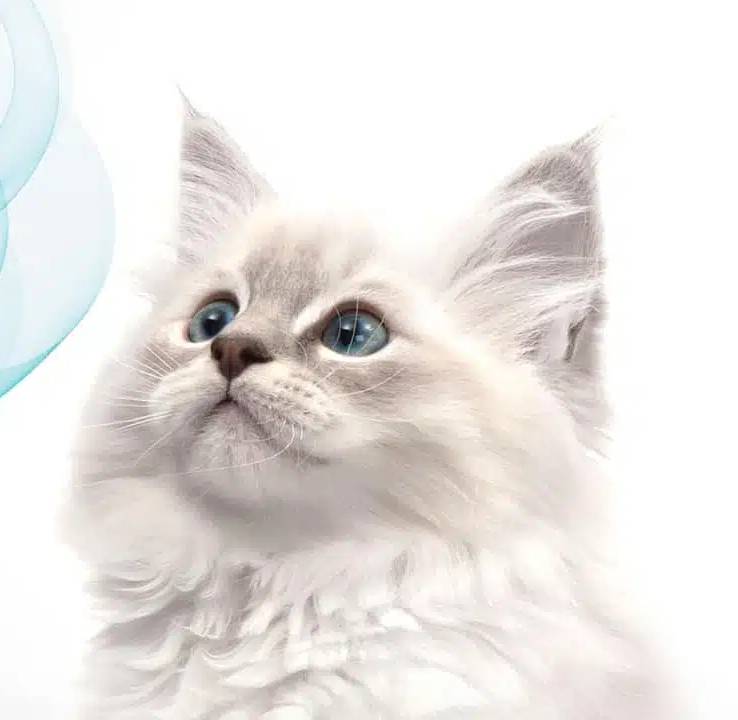 Catit Smartsfit Litter Box Airsift